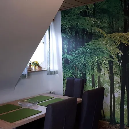 아파트 Panoramablick Luge Sauerland