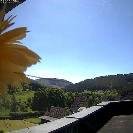 Panoramablick Luge Sauerland