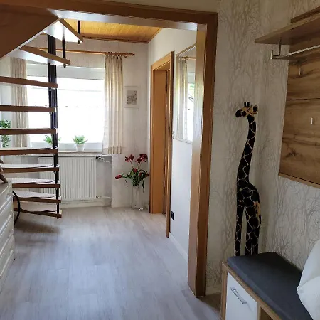 Panoramablick Luge Sauerland *