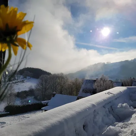 Panoramablick Luge Sauerland