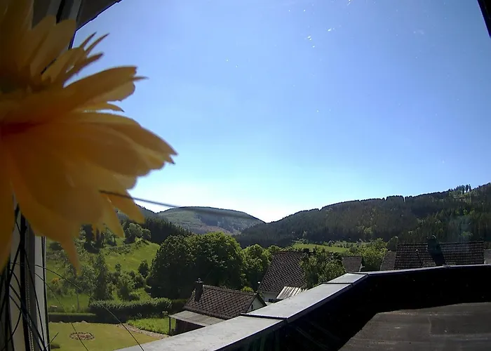 Panoramablick Luge Sauerland